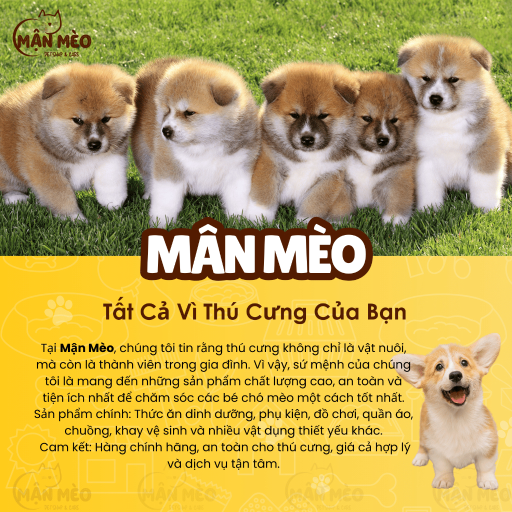 [COMBO 4 TÚI] Xương thưởng VegeBones 60g cho Chó gặm sạch răng bổ sung dinh dưỡng, tăng cường hệ miễn dịch