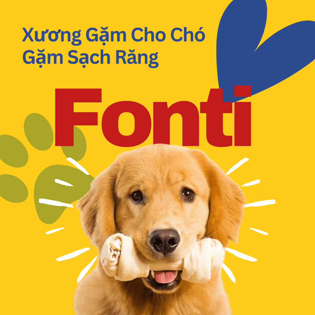 Xương gặm Fonti da bò sữa, Xương gặm cho chó gặm sạch răng bổ sung canxi vitamin hỗ trợ tiêu hóa