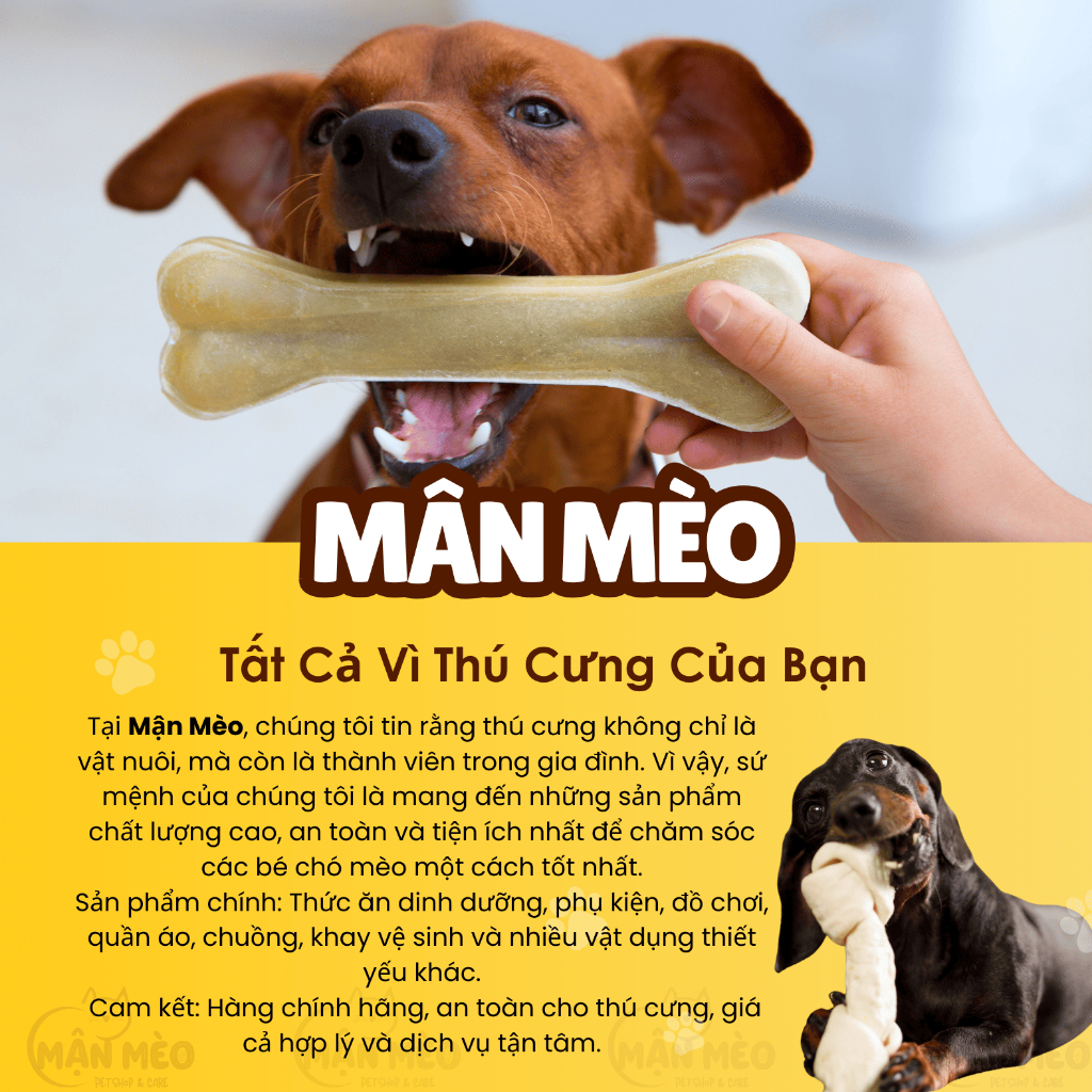 Xương gặm cho chó Inu Fonti các loại, Snack làm sạch răng cho chó giàu dinh dưỡng dễ tiêu hóa