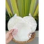 200gram Bánh tráng phơi sương siêu gạo loại 1 siêu mỏng dẻo mềm Tây Ninh