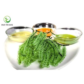 5 gói (500g ) rong nho tách nước AGS Việt Nam - tặng 5 gói sốt - Tiêu chuẩn