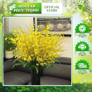 Cành vũ nữ vàng  8 nhánh hàng loại 2 105cm hoa nhân tạo #hoa_trang_trí #vũ_nữ_vàng