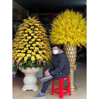 Cành vũ nữ vàng  8 nhánh hàng loại 2 105cm hoa nhân tạo #hoa_trang_trí #vũ_nữ_vàng