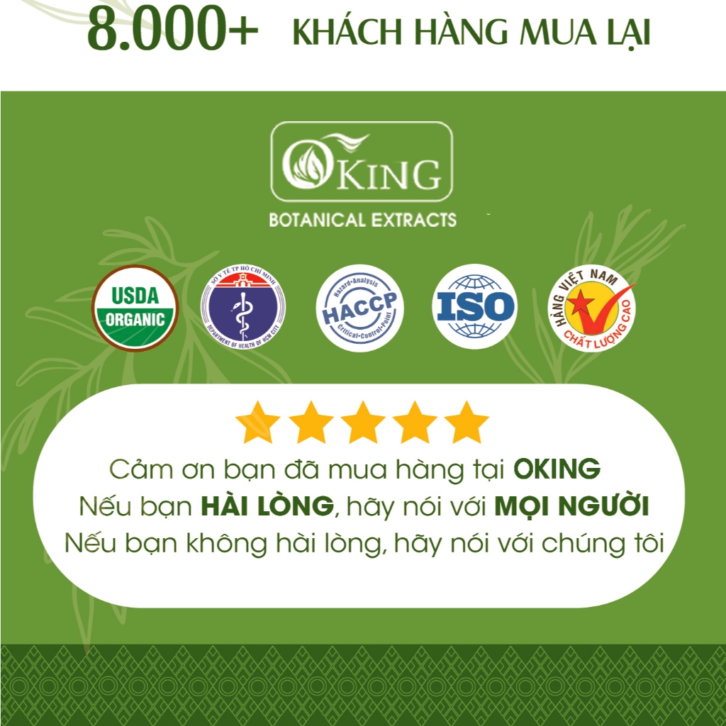 Tinh dầu Tràm gió nguyên chất (Cajeput) 10ml | Oking Việt Nam
