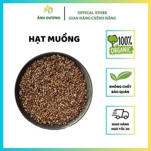 500GR Hạt Muồng | Thảo Quyết Minh | Quyết Minh Tử | Dùng Pha Trà Giúp Cải Thiện Thị Lực, An Thần Ngủ Ngon
