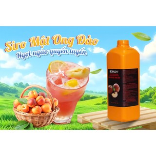 [CHÍNH NGẠCH] SIRO BODUO CÁC VỊ CAN 2L đủ vị dâu, đào, việt quất,... pha chế đồ uống thơm n