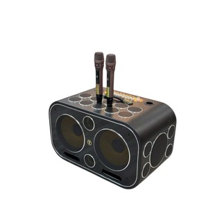 Loa Kéo LMK Audio D20 Công Suất Cực Khủng, 2 Bass 25Cm 12 Treb 10 Trung, 24 Đường Tiếng Chất Âm Chân Thực Và Sống Động