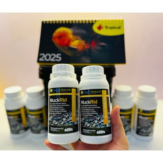 Vi sinh dị dưỡng MuckRid Pro chiết viên - Xử lý phân cá mùn bã giảm cặn đáy cho hồ cá Koi thủy sinh