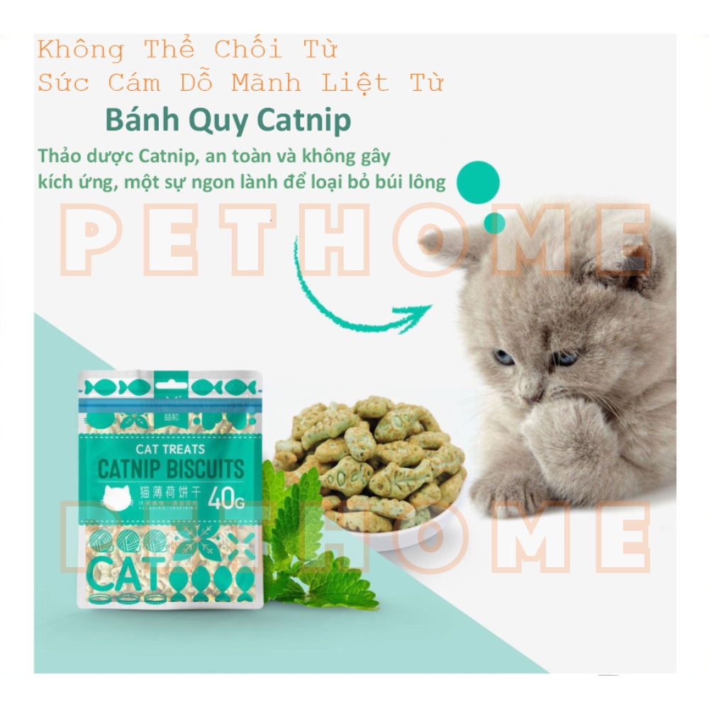 Bánh Thưởng Catnip Biscuits Dạng Bánh Quy Hình Con Cá Giúp Tiêu Búi Lông Cho Mèo gói 40gr