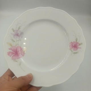 Đĩa Chuan kuo nông sâu hoa dâm bụt 3010 hàng nhập khẩu cao cấp