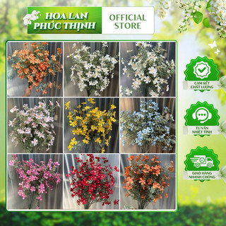 combo 5 Cành hoa cúc lá táo 83cm hàng loại 1 - điểm táo hoa cao cấp loại 1, hoa trang trí