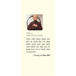 Sách How To Walk - Đi Sao Cho Vững Vàng - Sách bỏ túi