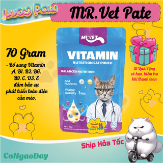 Pate Cho Mèo MRVET / Mr.vet Hộp 6/12/24 Gói 70G Bổ Sung Omega 3, Vitamin, L-Lysine Điều Hòa Tiêu Hóa, Tăng Đề Kháng