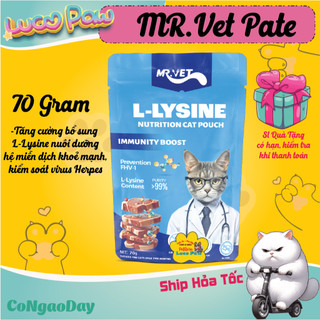 Pate Cho Mèo MRVET / Mr.vet Hộp 6/12/24 Gói 70G Bổ Sung Omega 3, Vitamin, L-Lysine Điều Hòa Tiêu Hóa, Tăng Đề Kháng