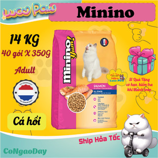 Minino Yum thức ăn cho mèo Combo 15,36kg , 13kg , 14kg , 15kg Hạt Mèo siêu tiết kiệm, Combo Ưu đãi