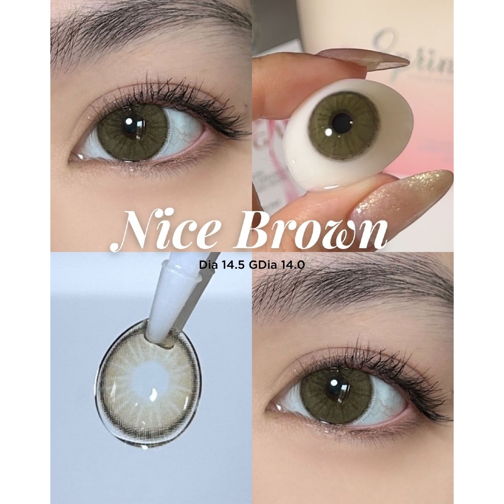Kính áp tròng nâu rêu NICE BROWN tây sáng viền giãn tròng to 1 tháng | Spring Lens