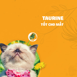 Hạt Minino Yum THÙNG  HẢI SẢN / CÁ HỒI / MỰC - Hạt Minino CÁ NGỪ : Thức hạt ăn cho mèo__ __