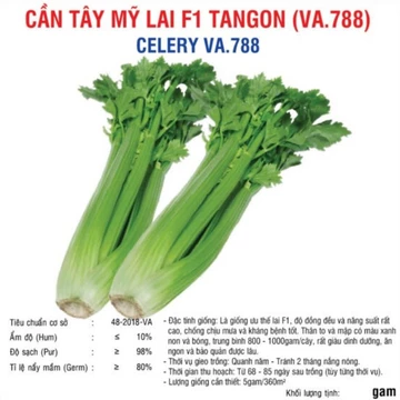 HẠT GIỐNG CẦN TÂY MỸ, CẦN TÂY ÉP NƯỚC GÓI 500 HẠT