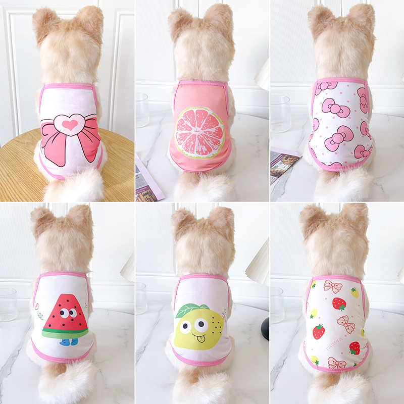 Áo Cho Chó Mùa Hè Đông Poodle Tiny Đực Con Gái Lớn Đầm Mèo Mới Sơ Sinh 1 2 3 Tháng Giá Rẻ Size XS To Nhỏ Hình Gấu 3kg