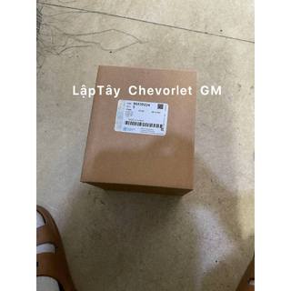 Bơm trợ lực lái Gentra,Aveo. Hàng chính hãng GM 96535224