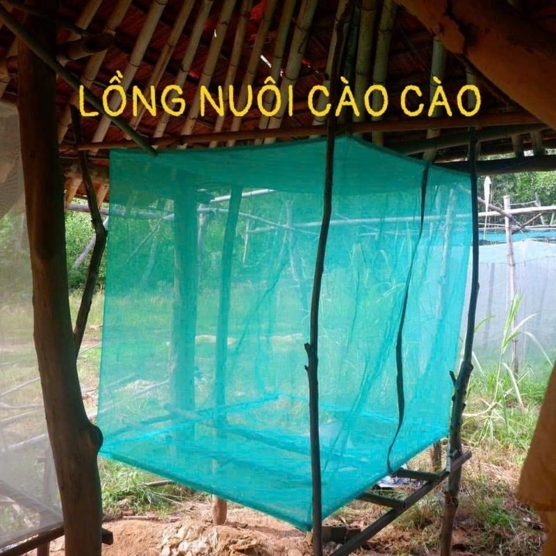 Mùng nuôi cào cào hay còn gọi là lồng lưới nuôi châu chấu 1x1x1 có đáy