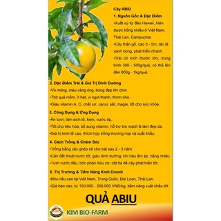 Cây Giống Bio Chiết Cành F1 Cây Khỏe Nhanh Ra Trái