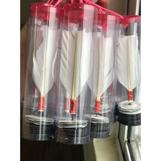 [Combo 5 quả] Cầu đá trinh sắt cầu đá đế nhựa loại đẹp, cầu trinh đá sắt đẹp, cầu đế nhựa đẹp lông dài