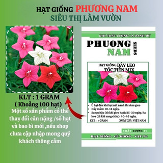 1 Gram - Hạt Giống Dây Leo Tóc Tiên Phương Nam