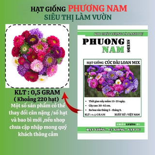 0,5 Gram - Hạt Giống Hoa Cúc Đài Loan Lùn Mix Phương Nam