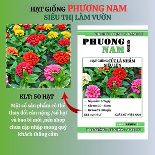 50 Hạt - Hạt Giống Hoa Cúc Lá Nhám Lùn 30 Cm Mix Phương Nam