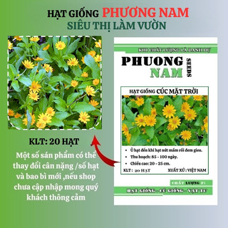 20 Hạt - Hạt Giống Hoa Cúc Mặt Trời Phương Nam