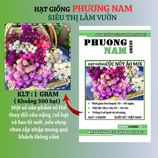 1 Gram - Hạt Giống Hoa Cúc Nút Áo (Bách Nhật) Mix Phương Nam