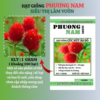 1 Gram - Hạt Giống Hoa Cúc Nút Áo (Bách Nhật) Đỏ Phương Nam