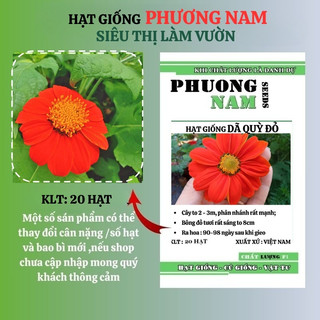 20 Hạt - Hạt Giống Hoa Dã Quỳ Đỏ Phương Nam