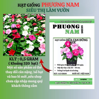 Hạt Giống Hoa Dừa Cạn Đứng Mix Phương Nam