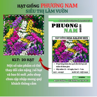 20 Hạt - Hạt Giống Hoa Salem Mix Cắt Cành F1 Phương Nam
