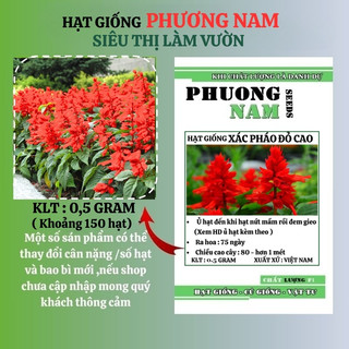 0,5 Gram - Hạt Giống Hoa Xác Pháo Đỏ Phương Nam