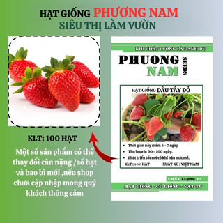 100 Hạt - Hạt Giống Dâu Tây Đỏ Phương Nam