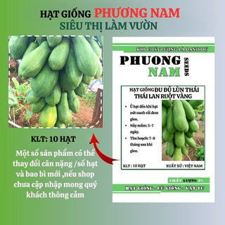 10 Hạt - Hạt Giống Đu Đủ Siêu Lùn Thái Lan Ruột Vàng Phương Nam