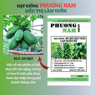 20 Hạt - Hạt Giống Đu Đủ Siêu Lùn Thái Lan Ruột Đỏ Phương Nam