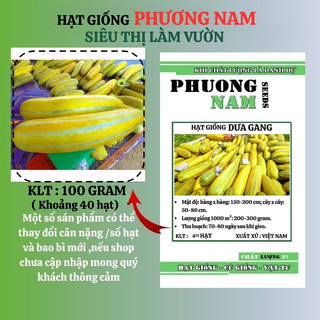 100 Gram ≈ 6000 Hạt - Hạt Giống Dưa Gang Phương Nam