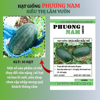 10 Hạt - Hạt Giống Dưa Hấu Hắc Mĩ Nhân Phương Nam