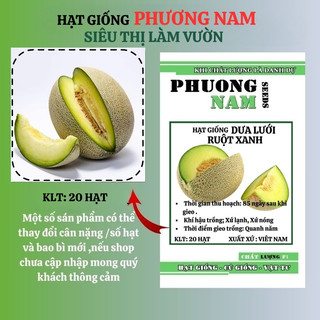 20 Hạt - Hạt Giống Dưa Lưới Ruột Xanh Phương Nam