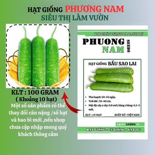 10 Hạt - Hạt Giống Bầu Sao Lai Phương Nam