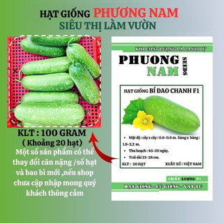 20 Hạt - Hạt Giống Bí Đao Chanh F1 Phương Nam