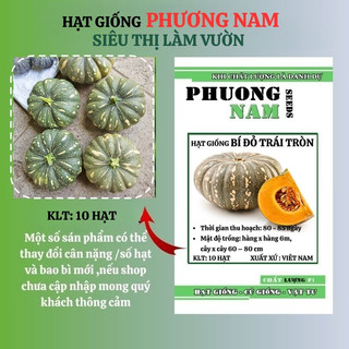 10 Hạt - Hạt Giống Bí Đỏ Trái Tròn Phương Nam