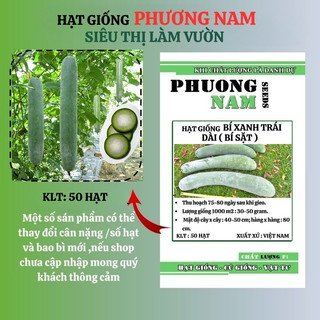 50 Hạt - Hạt Giống Bí Xanh Trái Dài(Bí Sặt) Phương Nam