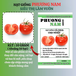 50 Hạt - Hạt Giống Cà Chua Chùm Bột Chịu Nhiệt Phương Nam