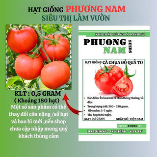 0,5 Gram - Hạt Giống Cà Chua Đỏ Quả To Phương Nam