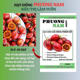 20 Hạt - Hạt Giống Cà Chua Thân Gỗ Phương Nam